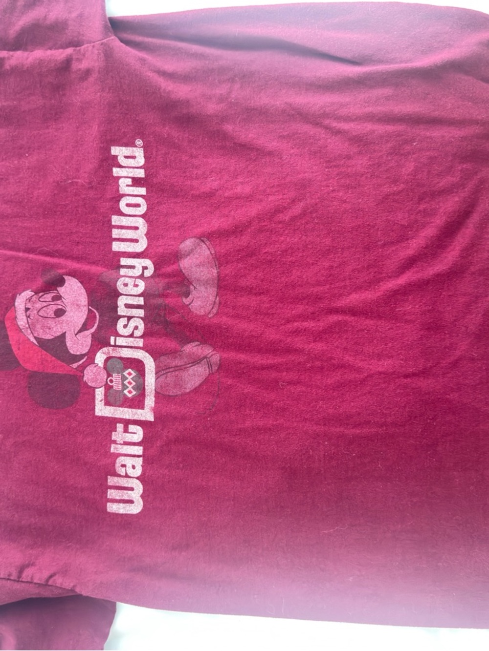 Hanes Maroon Short Sleeve Disney World Mickey Graphic Tee